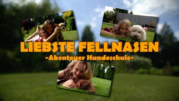 Alissa mit Bambi (l.), Anna mit Drosselbart (M.) und Lilli (r.) mit Shira