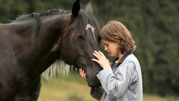 Das Pflegekind Ari und der Hengst Ostwind haben eine besondere Verbindung.