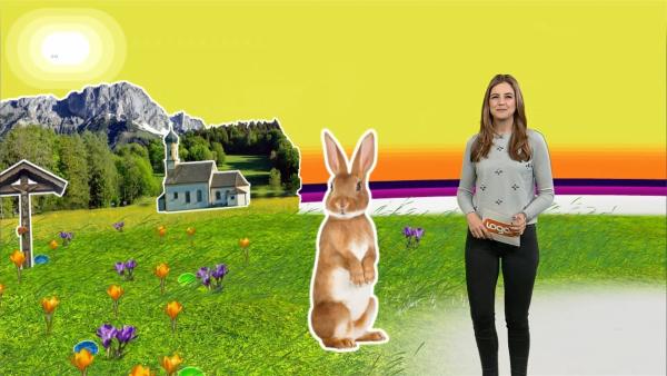 Warum feiern wir Ostern? Warum versteckt ausgerechnet der Osterhase die Ostereier? Diese und viele Fragen mehr klärt Moderatorin Jennifer Sieglar.