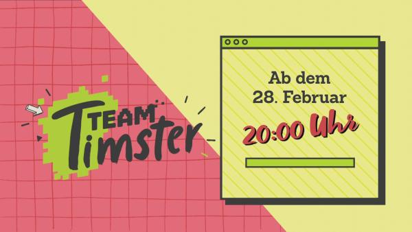 Trailer: „Team Timster“ | Rechte: KiKA