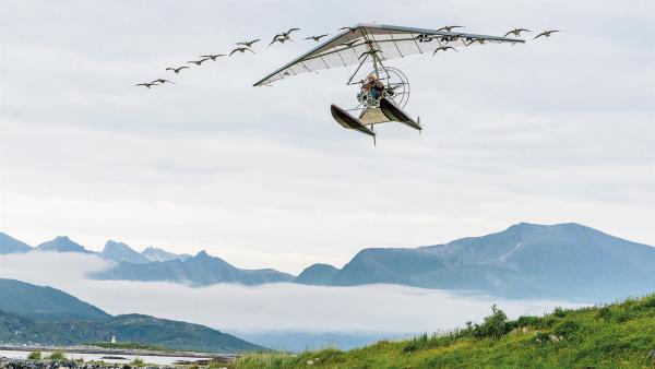 Thomas fliegt gemeinsam mit den Wildgänsen von Norwegen nach Frankreich.